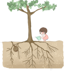 图片.png